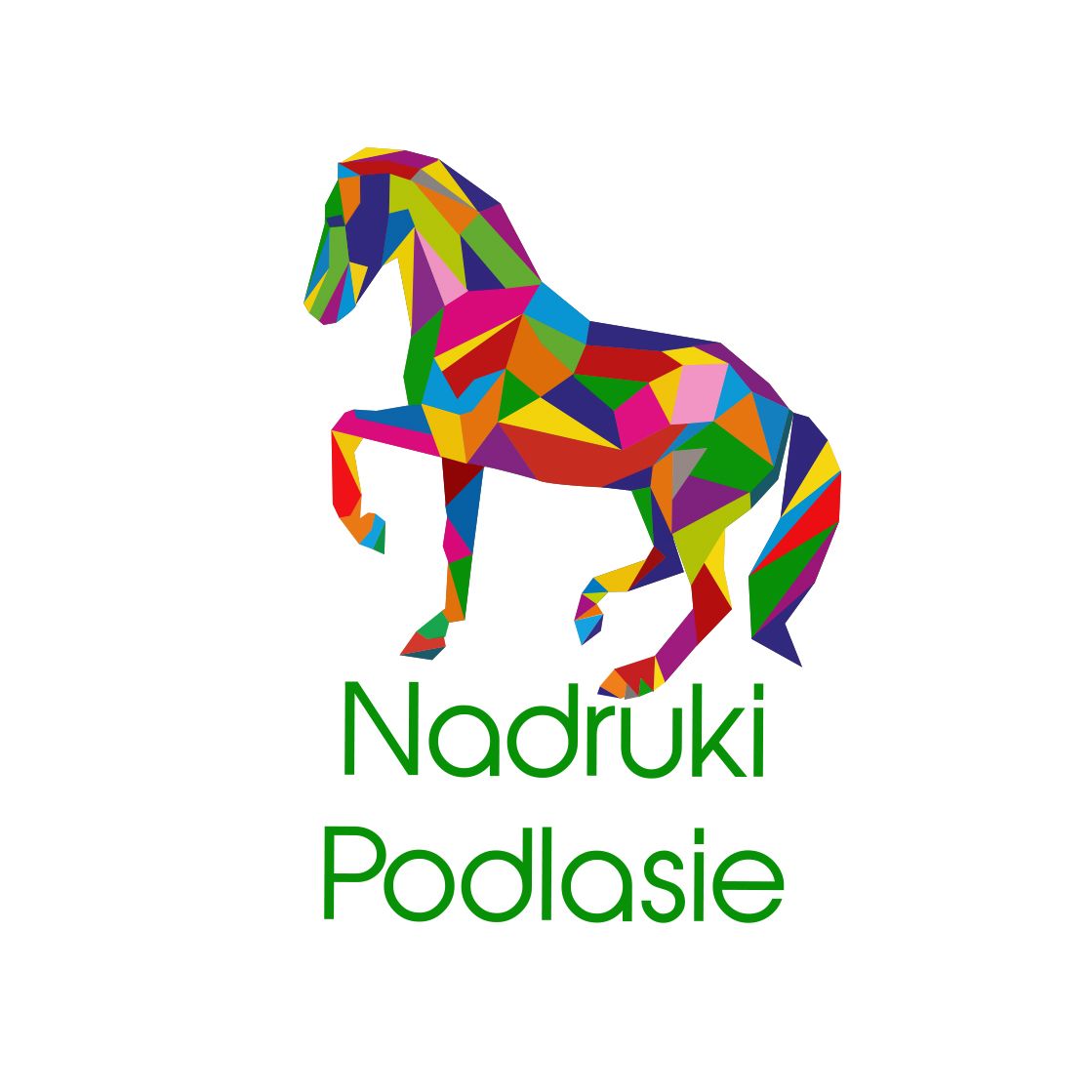 Nadruki Podlasie Białystok - Nadruki na Odzieży i Gadżetach! Przygotuj się na Niespodziankę! 500-220-350 logo